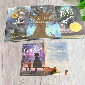 Book Collection - Multicolor